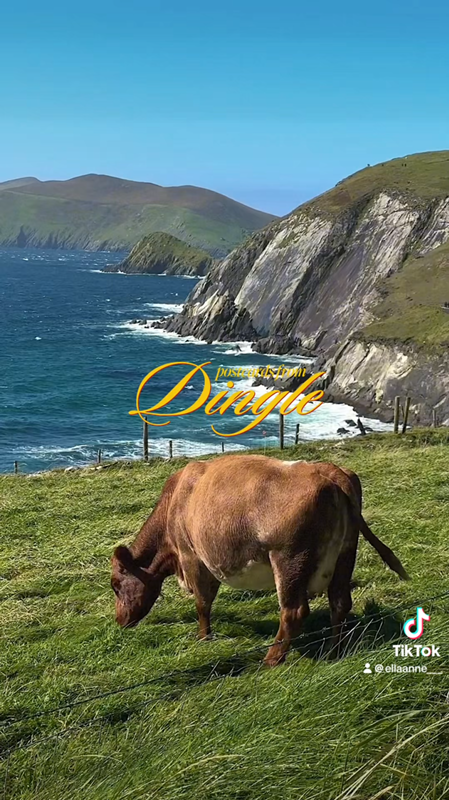 Personal travel content, Dingle Ireland